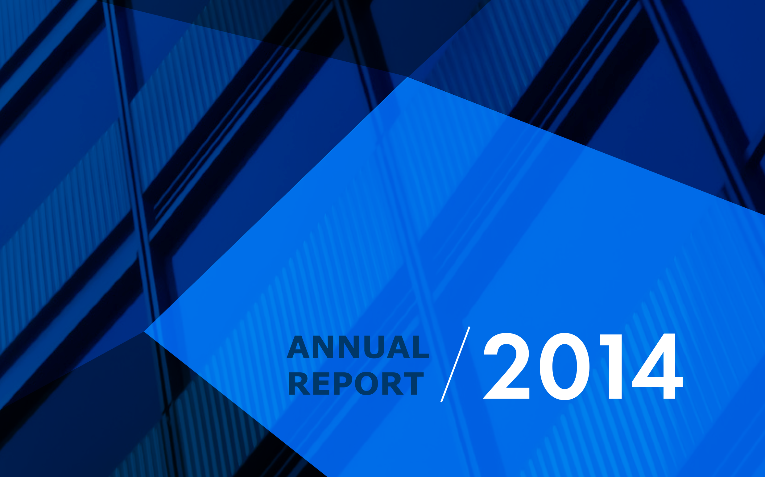 Annual Report 2014