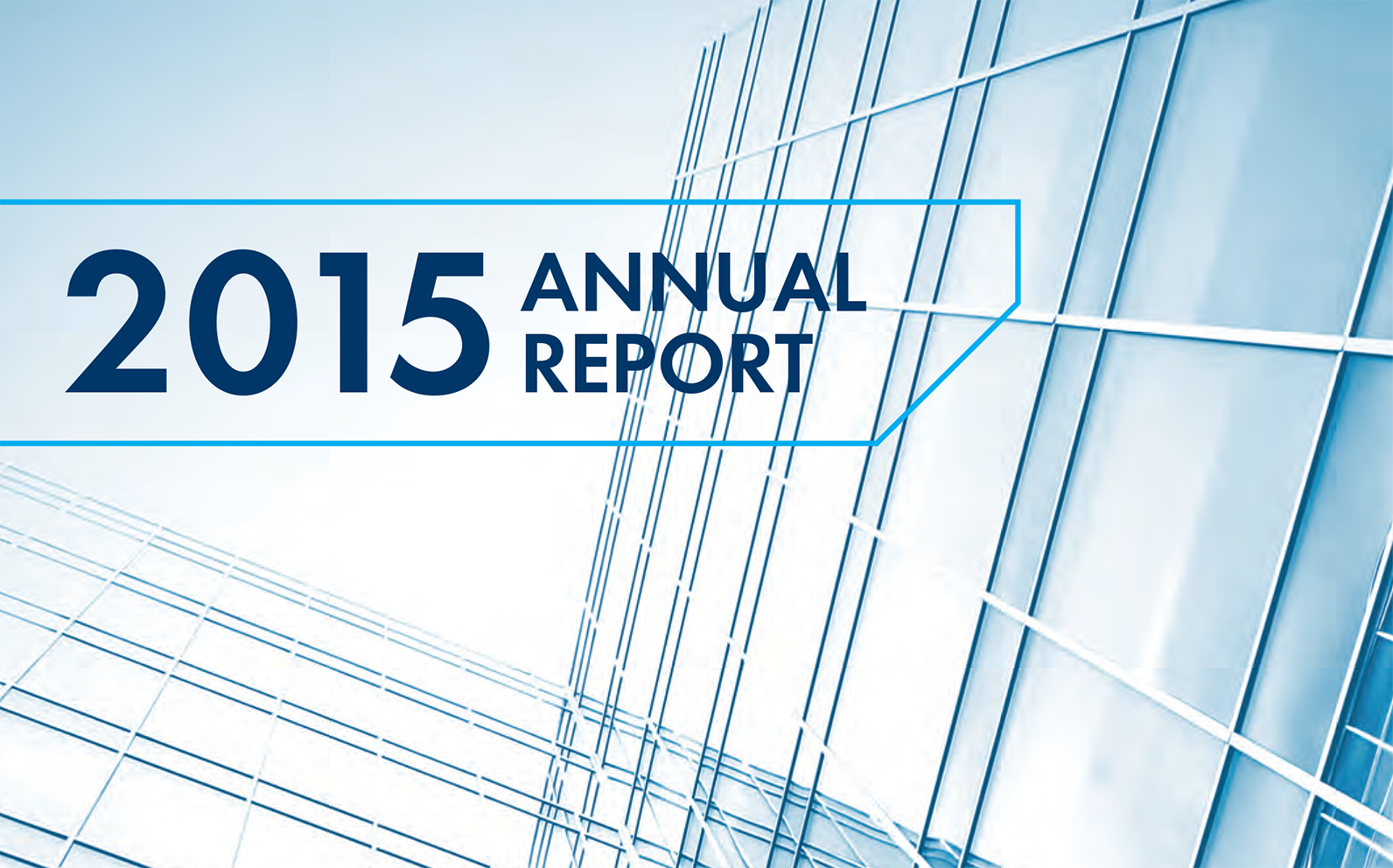 Annual Report 2015