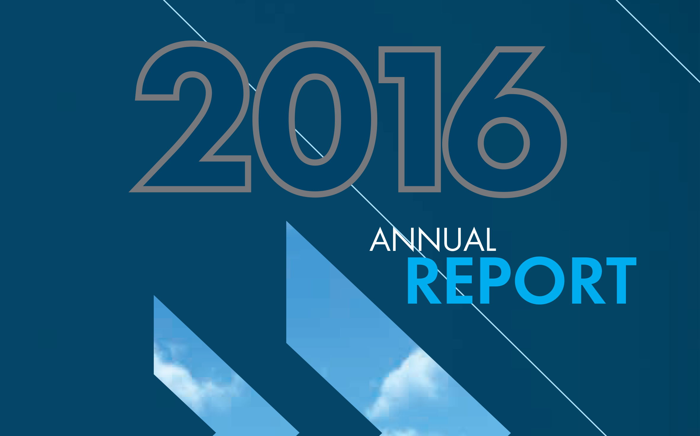 Annual Report 2016