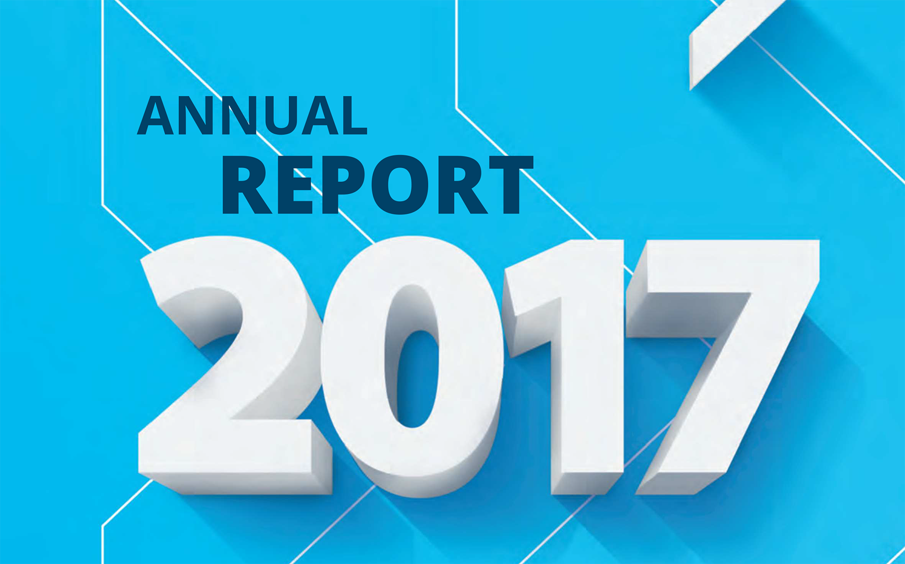 Annual Report 2017