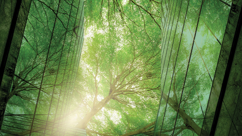 Structurer la finance verte autour du Green Bond Framework